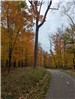 Fall Metropark walk